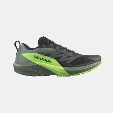 Picture of SALOMON - SENSE RIDE 5